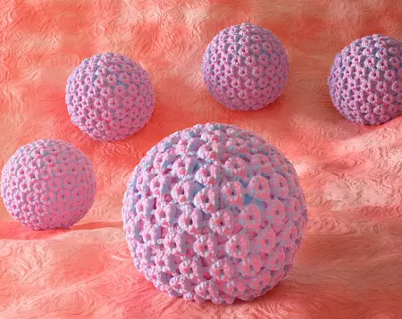 Информационный бюллетень HPV WORLD о папилломавирусной инфекции и связанными с ней видами рака в России